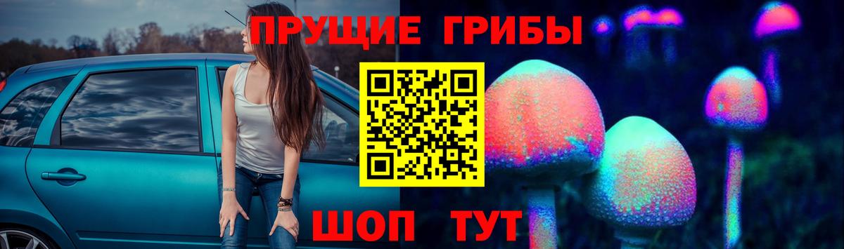 Псилоцибиновые грибы MAGIC MUSHROOMS  Вход с VPN  Апатиты  Псилоцибиновые грибы прущие грибы 